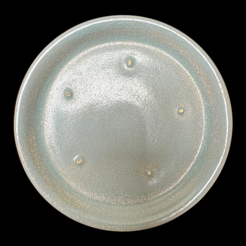 Song Dynasty Plum Vase with Floral Rim|宋朝花口梅瓶・珍藏